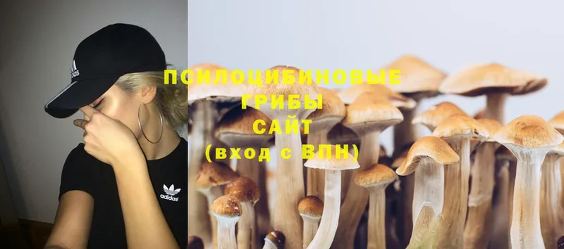 магазин    blacksprut маркетплейс  Галлюциногенные грибы Psilocybine cubensis  Волосово 